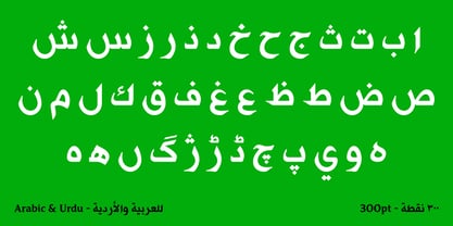 Tanseek Traditional Font Poster 5